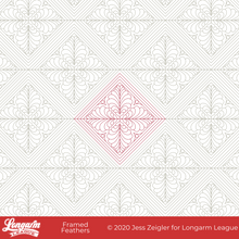 Load image into Gallery viewer, Framed Feathers