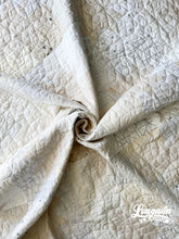 Load image into Gallery viewer, Explore