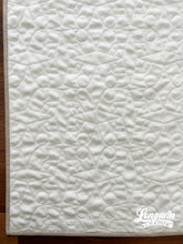 Load image into Gallery viewer, Explore