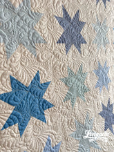 Load image into Gallery viewer, Fancy Feathers