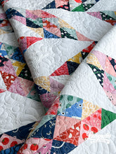 Load image into Gallery viewer, Fossilized